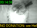 00:14:59