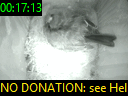 00:17:13