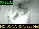 00:20:32