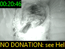00:20:46