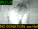 00:21:20