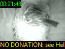 00:21:48