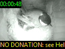 00:00:48