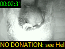 00:02:31