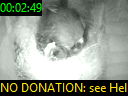 00:02:49