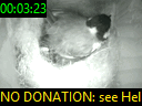00:03:23