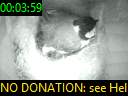 00:03:59