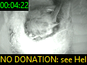 00:04:22