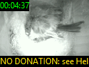 00:04:37