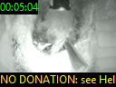 00:05:04