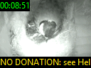 00:08:51