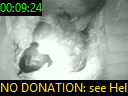 00:09:24