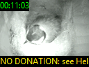 00:11:03