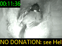 00:11:36