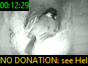 00:12:29
