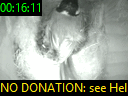 00:16:11