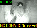 00:18:54