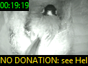 00:19:19