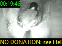 00:19:46