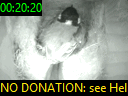 00:20:20