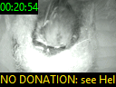 00:20:54