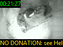 00:21:27