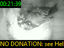 00:21:39