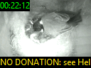 00:22:12