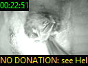00:22:51