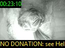 00:23:10