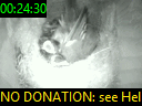 00:24:30