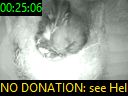 00:25:06