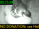 00:25:39