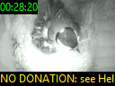 00:28:20