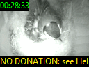 00:28:33