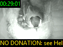00:29:01