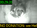 00:29:20