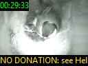 00:29:33