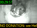 00:29:57