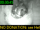 00:30:45