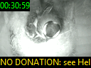 00:30:59