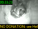 00:33:23