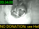 00:34:00