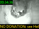 00:34:36