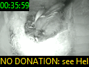 00:35:59
