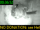 00:36:52