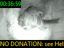 00:36:59