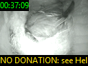 00:37:09