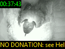 00:37:43