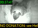 00:37:47